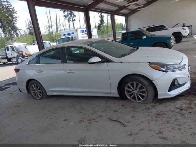 5NPE24AF0JH699919 Hyundai SONATA SE