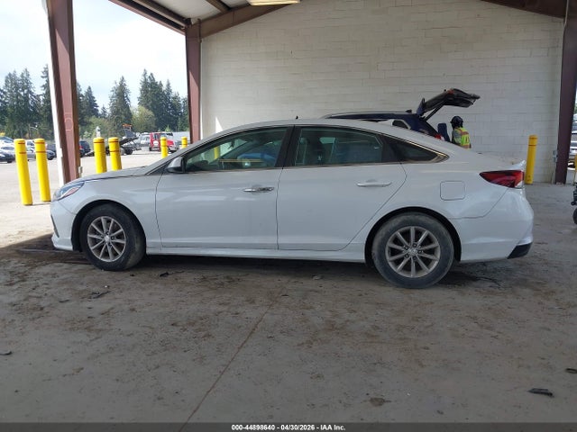 5NPE24AF0JH699919 Hyundai SONATA SE