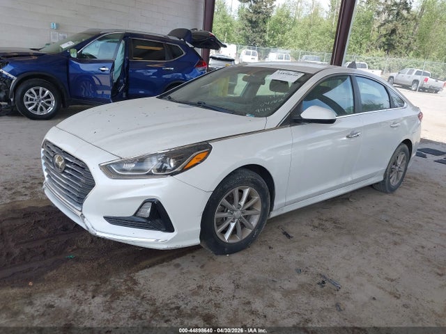 5NPE24AF0JH699919 Hyundai SONATA SE