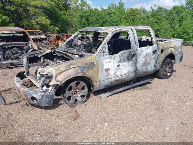 Продаж на аукціоні авто 2010 Ford F-150 Fx4/lariat/xl/xlt, vin: 1FTFW1EV6AKE46145, номер лоту: 44898657