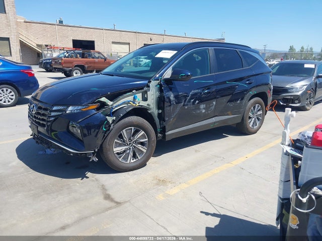 Hyundai Tucson Hybrid Blue 2024 KM8JBCD1XRU190524 Image 2