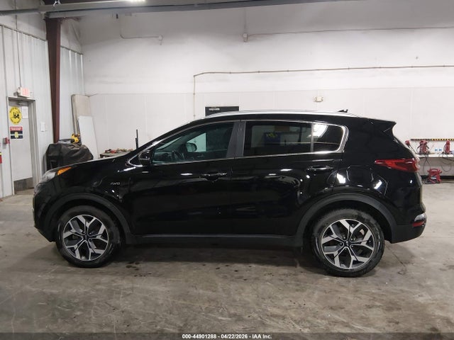 2021 Kia Sportage Ex მანქანა იყიდება აუქციონზე, vin: KNDPNCAC7M7897955, აუქციონის ნომერი: 44901288