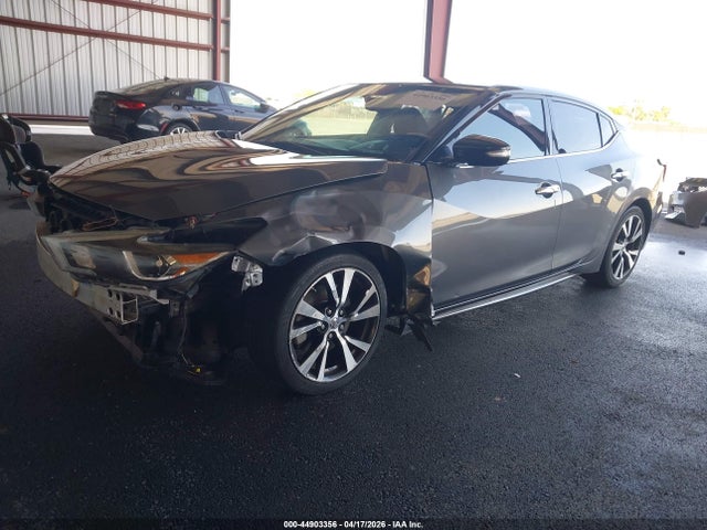 1N4AA6APXHC393070 Nissan Maxima 3.5 Sv