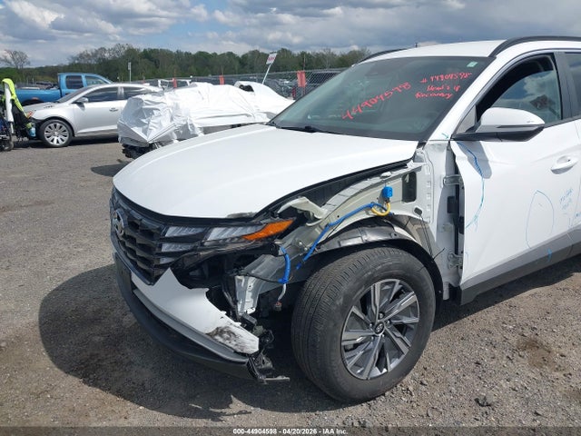 Aukcja sprzedaży 2023 Hyundai Tucson Hybrid Blue, vin: KM8JBCA13PU119683, numer aukcji: 44904598