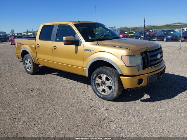 2009 FORD F-150 1FTPW14V89FA00508
