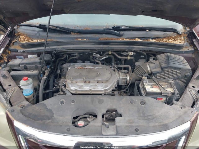2008 Honda Odyssey Ex-l მანქანა იყიდება აუქციონზე, vin: 5FNRL386X8B412061, აუქციონის ნომერი: 44905101