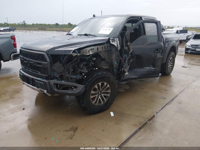 Ford F-150 Raptor 2019 1FTFW1RG1KFC83622 Image 2