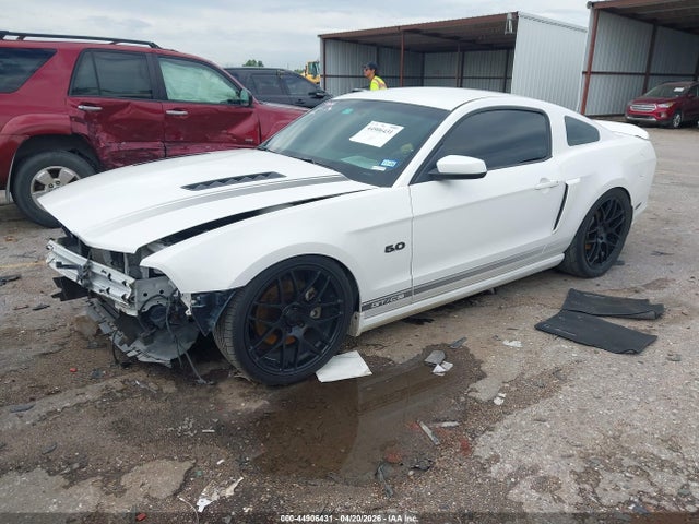 Продаж на аукціоні авто 2013 Ford Mustang Gt Premium, vin: 1ZVBP8CF9D5269204, номер лоту: 44906431