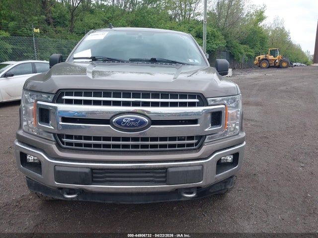 1FTEW1E56LFA04313 Ford F-150 Xlt