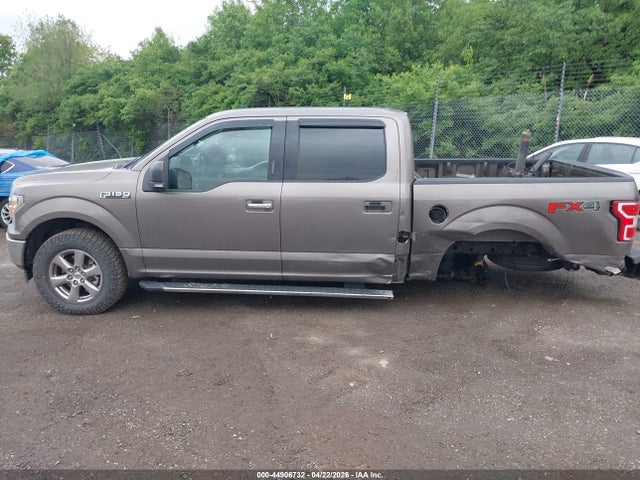 1FTEW1E56LFA04313 Ford F-150 Xlt