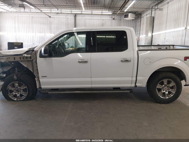 44907019 :رقم المزاد ، 1FTEW1EP0FKE24789 vin ، 2015 Ford F-150 Xlt مزاد بيع