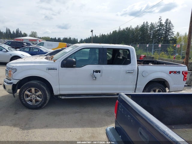 Ford F-150 Xlt 2020 1FTEW1EP1LKE74452 Image 13