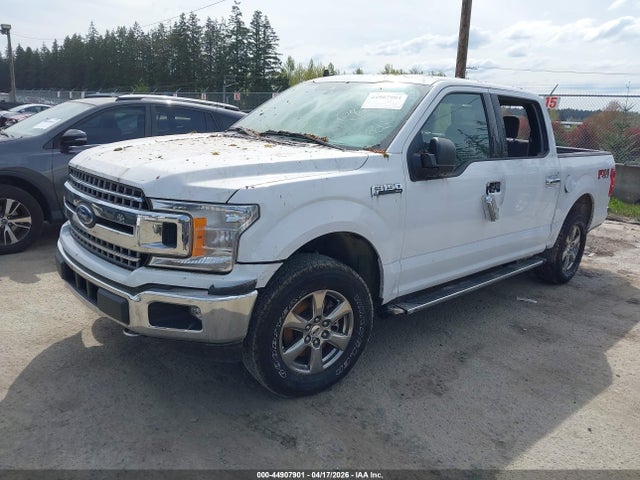 Ford F-150 Xlt 2020 1FTEW1EP1LKE74452 Image 2