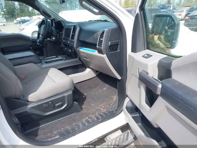 Ford F-150 Xlt 2020 1FTEW1EP1LKE74452 Image 5