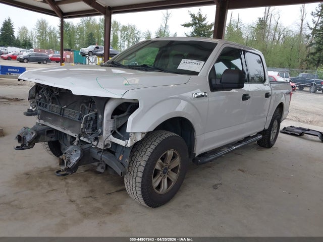 Ford F-150 Xlt 2016 1FTEW1E81GKD61339 Image 2