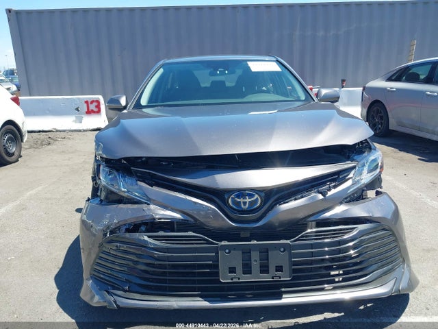 4T1B31HK5KU005505 Toyota Camry Hybrid Le