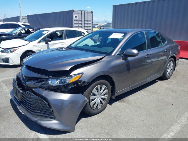 4T1B31HK5KU005505 Toyota Camry Hybrid Le