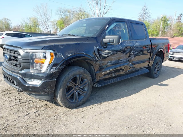 2023 Ford F-150 Xlt მანქანა იყიდება აუქციონზე, vin: 1FTFW1ED6PFB31919, აუქციონის ნომერი: 44911311