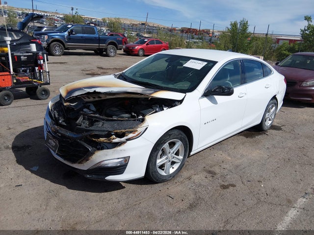 1G1ZB5STXPF113282 Chevrolet Malibu Fwd Ls