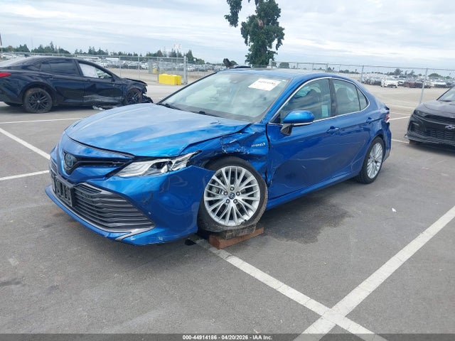 44914186 :رقم المزاد ، 4T1B21HK9KU014274 vin ، 2019 Toyota Camry Hybrid Xle مزاد بيع