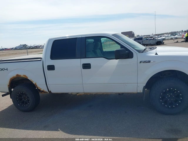 44915487 :رقم المزاد ، 1FTFW1EV9AFC11683 vin ، 2010 Ford F-150 Fx4/harley-davidson/king Ranch/lariat/platinum/xl/xlt مزاد بيع