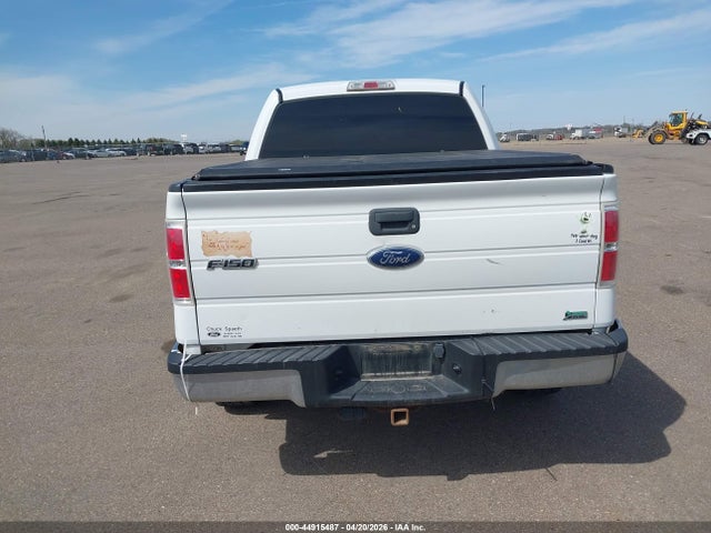 44915487 :رقم المزاد ، 1FTFW1EV9AFC11683 vin ، 2010 Ford F-150 Fx4/harley-davidson/king Ranch/lariat/platinum/xl/xlt مزاد بيع