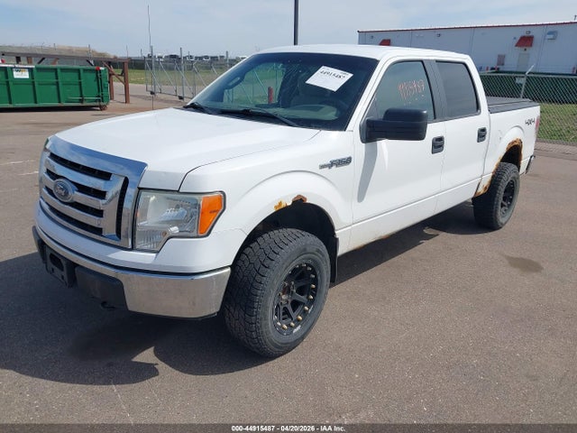 44915487 :رقم المزاد ، 1FTFW1EV9AFC11683 vin ، 2010 Ford F-150 Fx4/harley-davidson/king Ranch/lariat/platinum/xl/xlt مزاد بيع