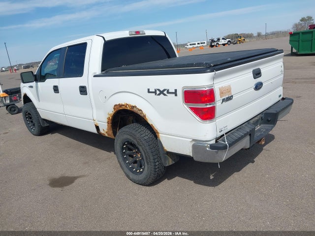 44915487 :رقم المزاد ، 1FTFW1EV9AFC11683 vin ، 2010 Ford F-150 Fx4/harley-davidson/king Ranch/lariat/platinum/xl/xlt مزاد بيع