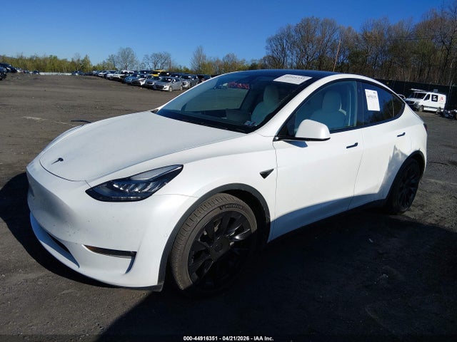 5YJYGAEE1MF304499 Tesla Model Y Long Range Dual Motor All-wheel Drive