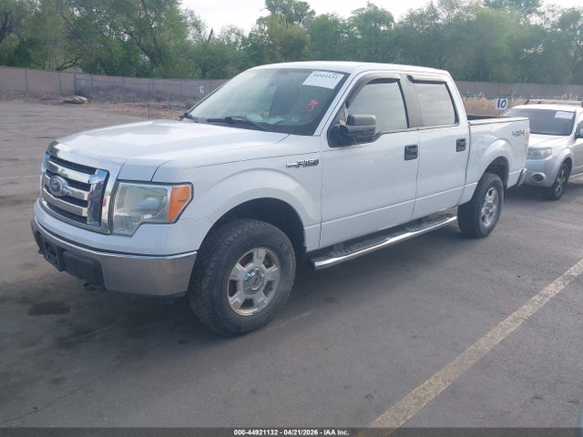 Aukcja sprzedaży 2010 Ford F-150 Xl/xlt, vin: 1FTEW1E86AFA29302, numer aukcji: 44921132