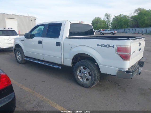 Aukcja sprzedaży 2010 Ford F-150 Xl/xlt, vin: 1FTEW1E86AFA29302, numer aukcji: 44921132