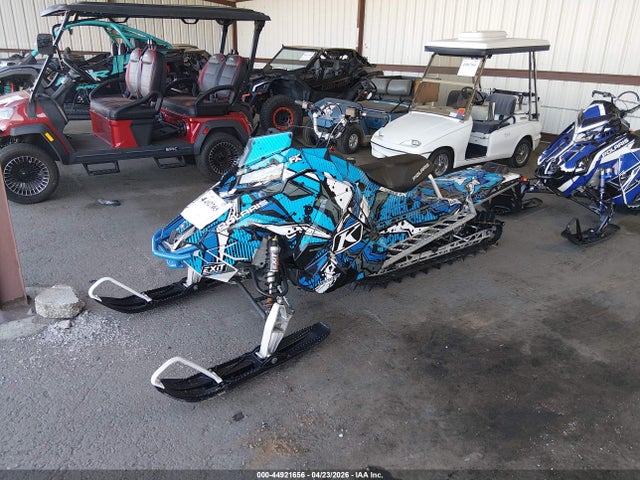 Pola Pro Rmk 2017 SN1EFK8P3HC699519 Image 2