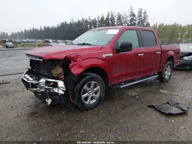 Aukcja sprzedaży 2019 Ford F-150 Xlt, vin: 1FTEW1EP8KKD86268, numer aukcji: 44922497