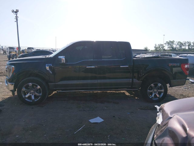 Ford F-150 King Ranch 2023 1FTFW1E52PFD28126 Image 14