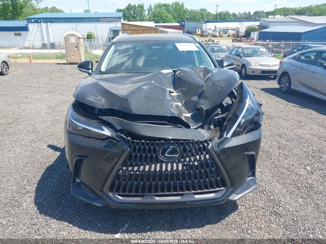 44923030 :رقم المزاد ، 2T2GDCAZ7SC024222 vin ، 2025 Lexus Nx 250 Premium مزاد بيع