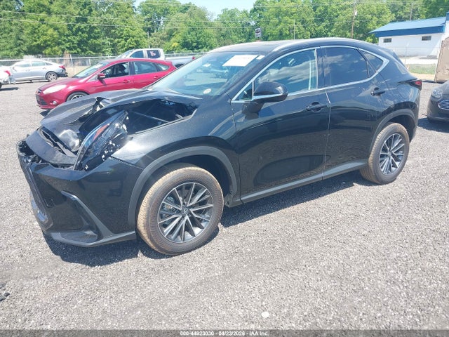 44923030 :رقم المزاد ، 2T2GDCAZ7SC024222 vin ، 2025 Lexus Nx 250 Premium مزاد بيع