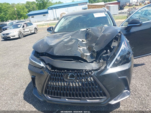 44923030 :رقم المزاد ، 2T2GDCAZ7SC024222 vin ، 2025 Lexus Nx 250 Premium مزاد بيع