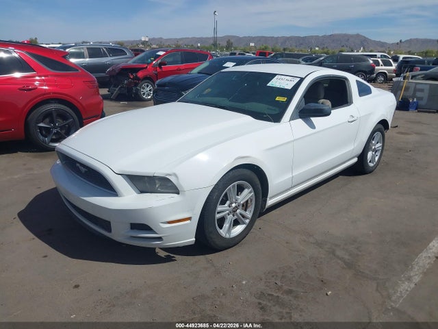 1ZVBP8AM3E5250408 Ford Mustang V6