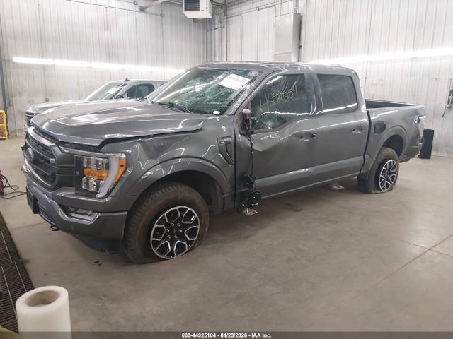 Aukcja sprzedaży 2023 Ford F-150 Xlt, vin: 1FTFW1E52PKD41532, numer aukcji: 44925104