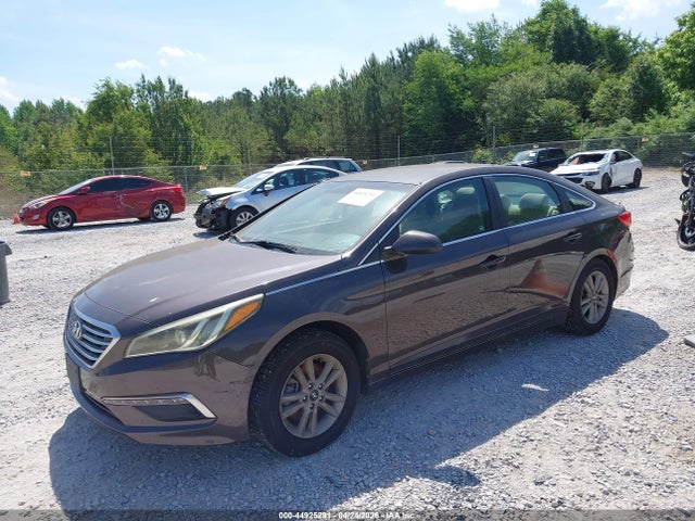 44925291 :رقم المزاد ، 5NPE24AF5FH181196 vin ، 2015 Hyundai Sonata Se مزاد بيع