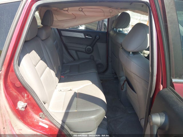 Продажа на аукционе авто 2010 Honda Cr-v Ex-l, vin: 5J6RE4H70AL020342, номер лота: 44928550