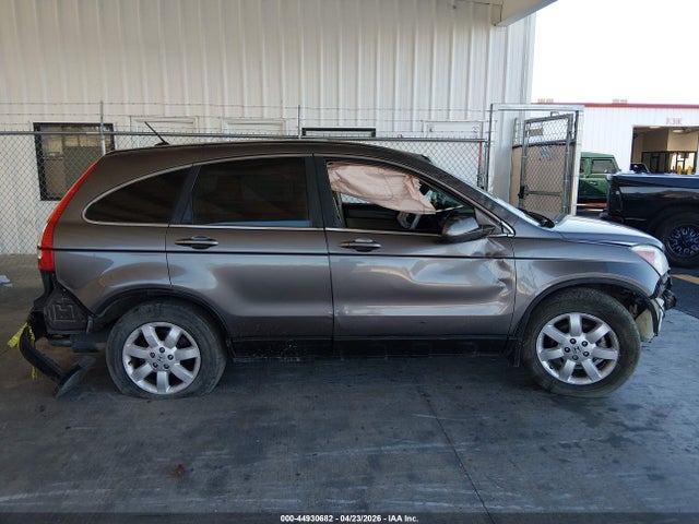 Auction sale of the 2009 Honda Cr-v Ex-l, vin: 5J6RE38769L007195, lot number: 44930682