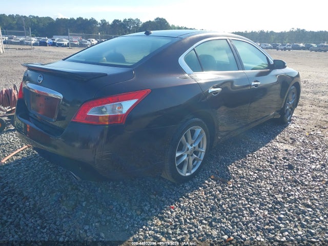 Продаж на аукціоні авто 2011 Nissan Maxima 3.5 Sv, vin: 1N4AA5AP1BC817785, номер лоту: 44932096