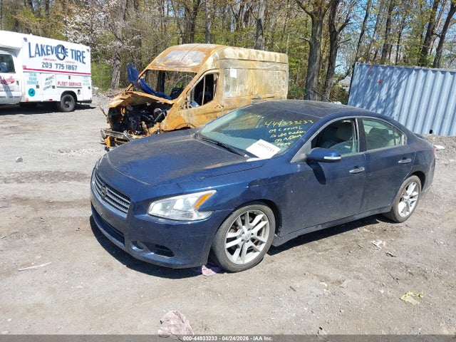 Продажа на аукционе авто 2009 Nissan Maxima 3.5 Sv, vin: 1N4AA51E39C809650, номер лота: 44933233