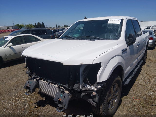 1FTFW1E46KKE39513 Ford F-150 Xlt