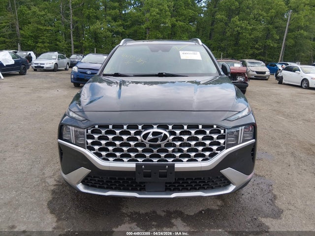 Aukcja sprzedaży 2023 Hyundai Santa Fe Limited, vin: 5NMS4DAL4PH644382, numer aukcji: 44933385
