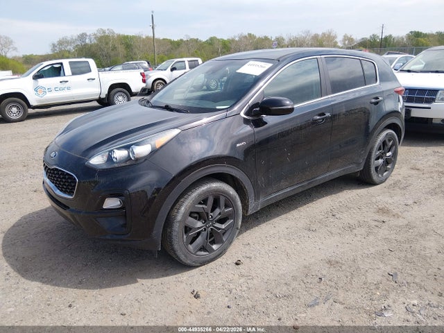 Продажа на аукционе авто 2022 Kia Sportage Lx, vin: KNDPMCAC1N7010208, номер лота: 44935266