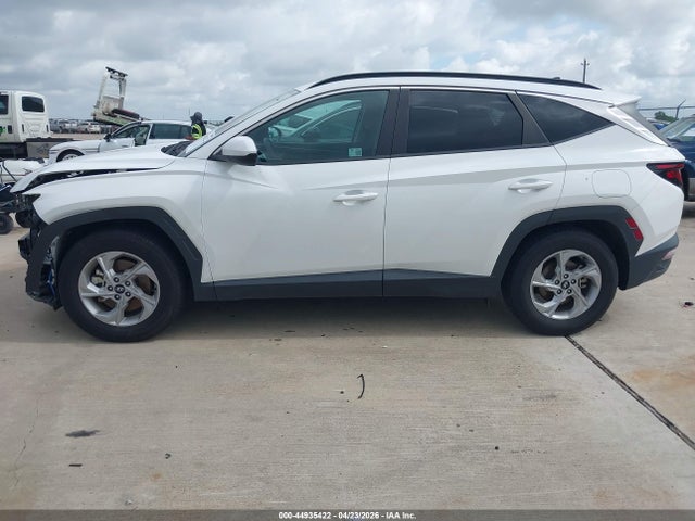 Hyundai TUCSON SEL 2024 5NMJB3DE6RH329613 Image 14