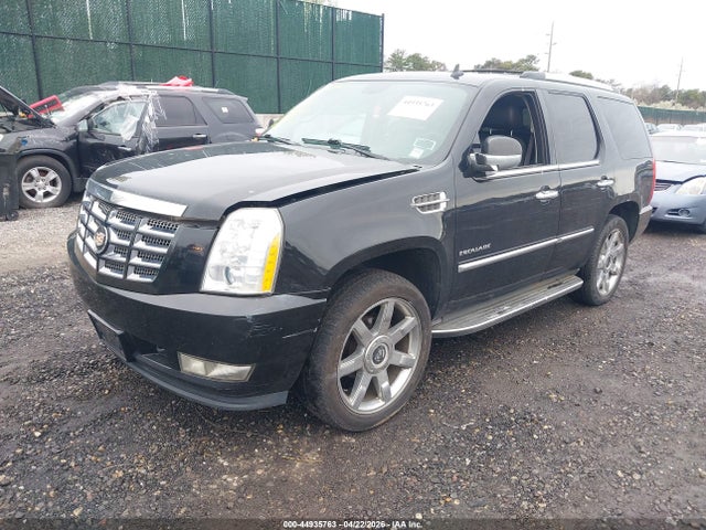 Продаж на аукціоні авто 2010 Cadillac Escalade Luxury, vin: 1GYUKBEF7AR258947, номер лоту: 44935763