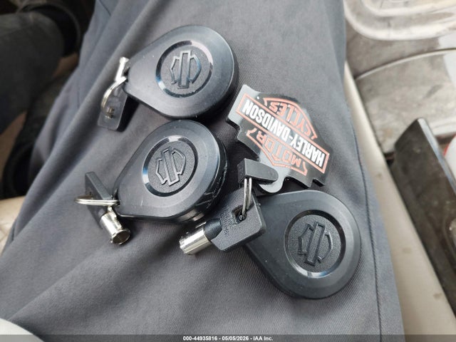 Продаж на аукціоні авто 2019 Harley-davidson Flhxs, vin: 1HD1KRP1XKB668699, номер лоту: 44935816